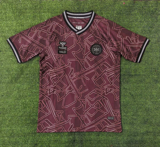 2024 Denmark National Team Special Edition Football Shirt